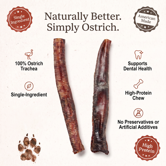 Ostrich Tubes