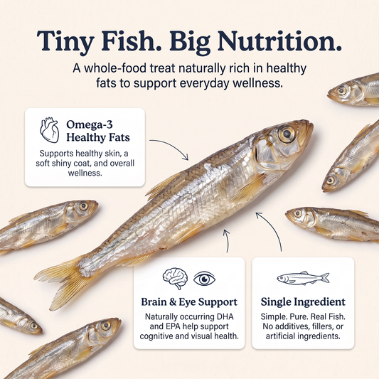 Minnow Munchers