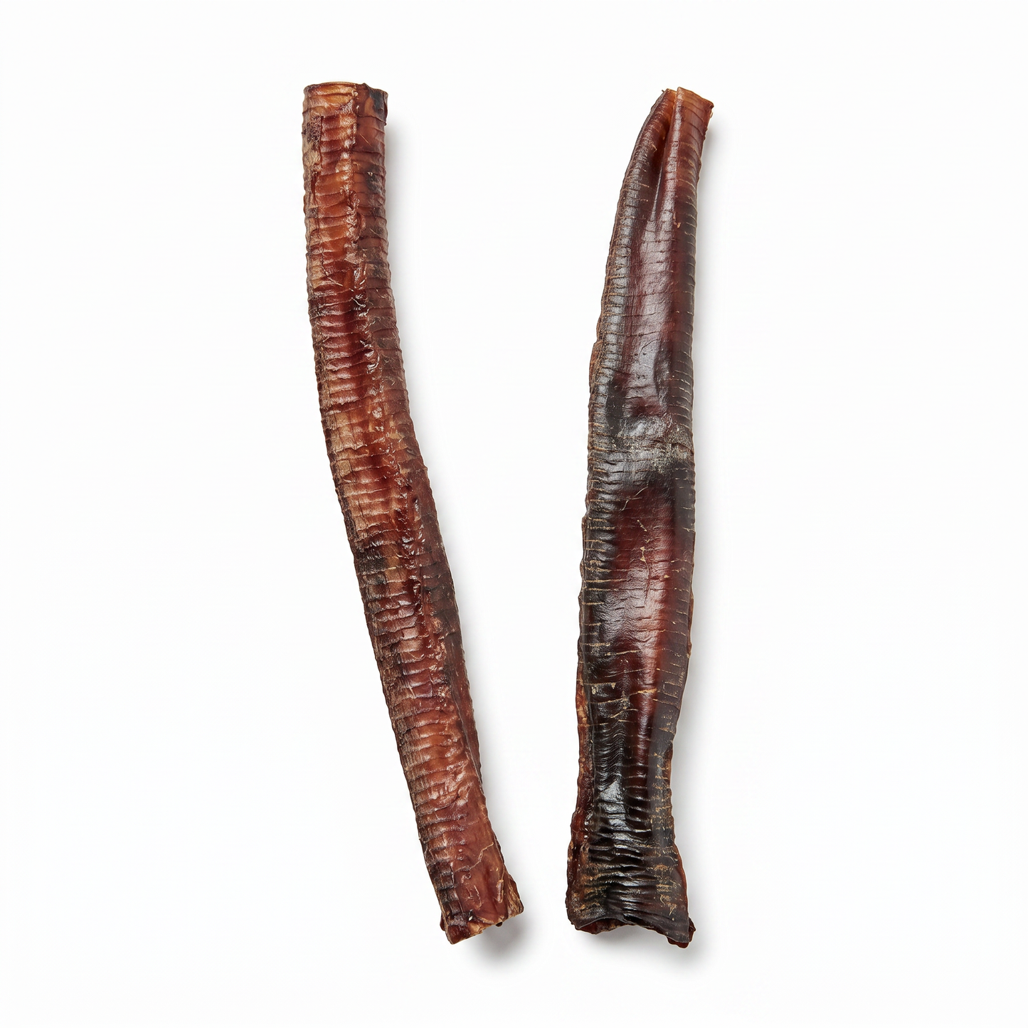 Ostrich Tubes