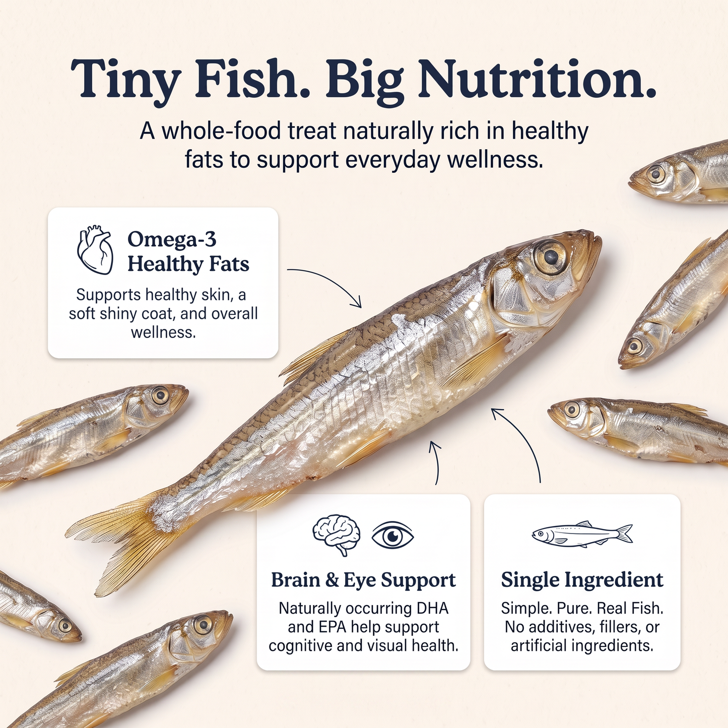 Minnow Munchers